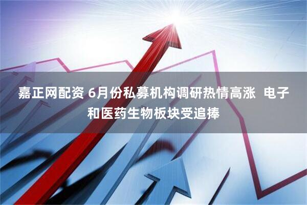 嘉正网配资 6月份私募机构调研热情高涨  电子和医药生物板块受追捧