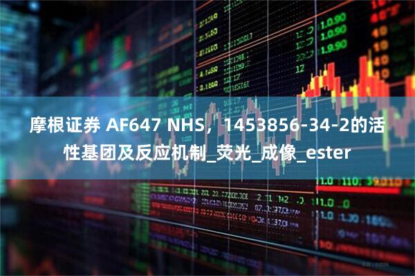 摩根证券 AF647 NHS，1453856-34-2的活性基团及反应机制_荧光_成像_ester